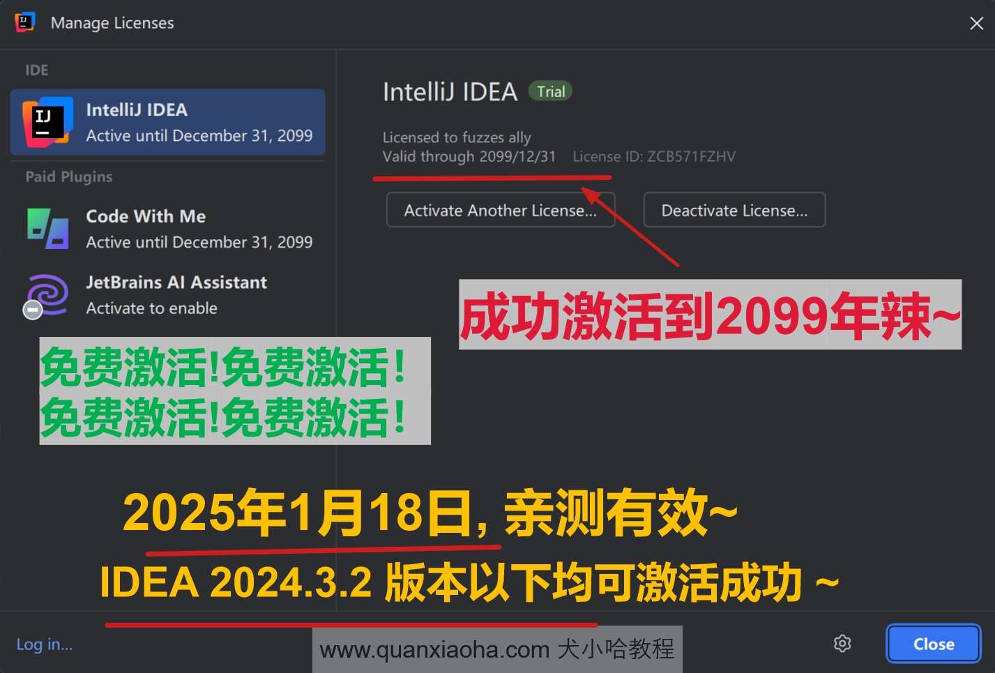 IDEA 2024.3.2 版本激活到 2099 年截图