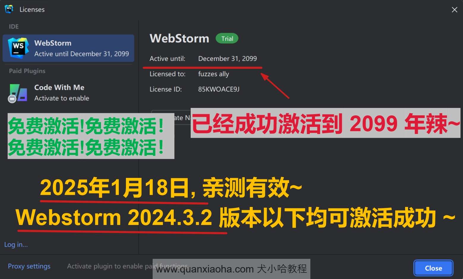 Webstorm  2024.3.2 版本激活到 2099 年截图