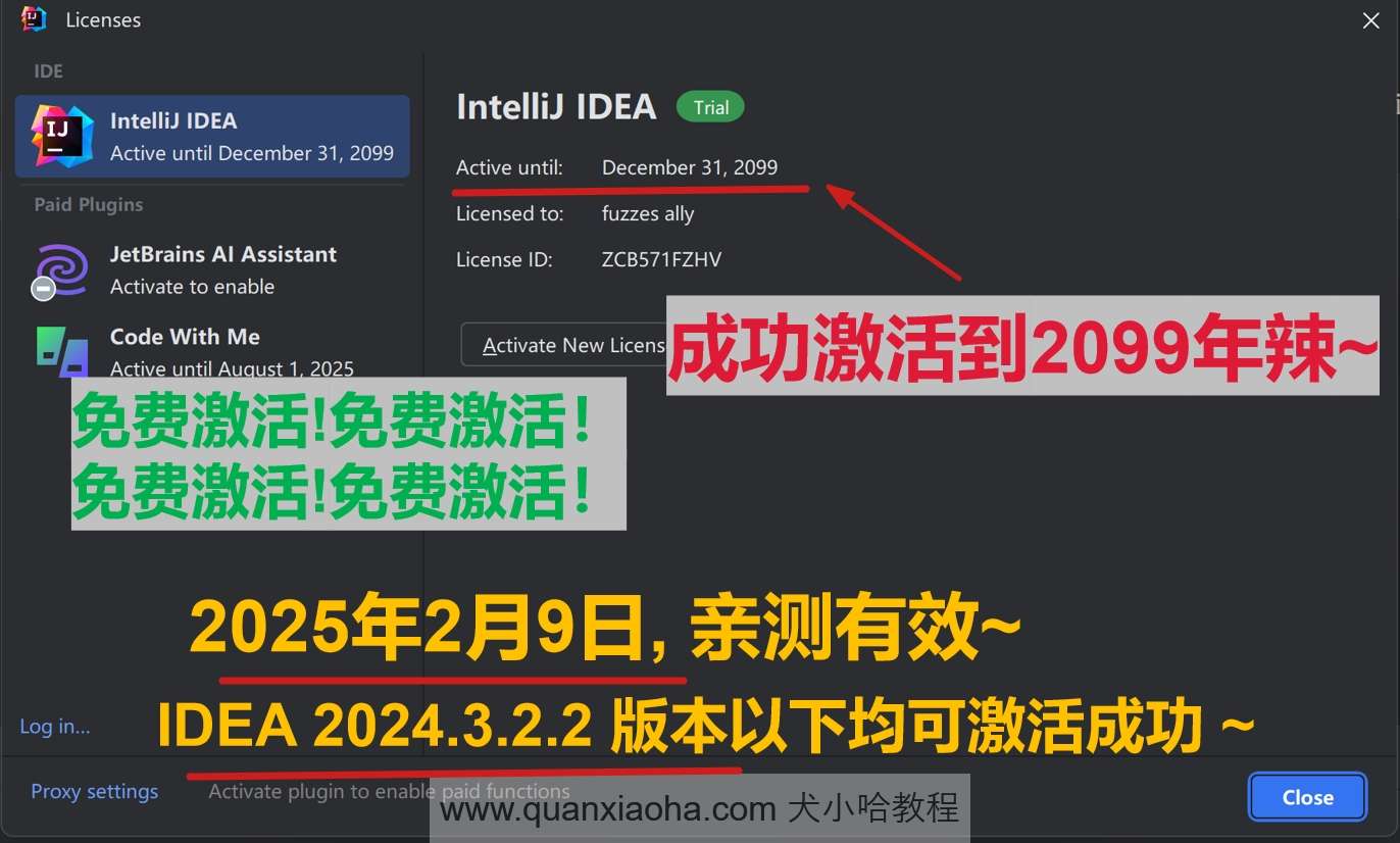 IDEA 2024.3.2.2 最新破解版安装教程（附激活码，至2099年~）