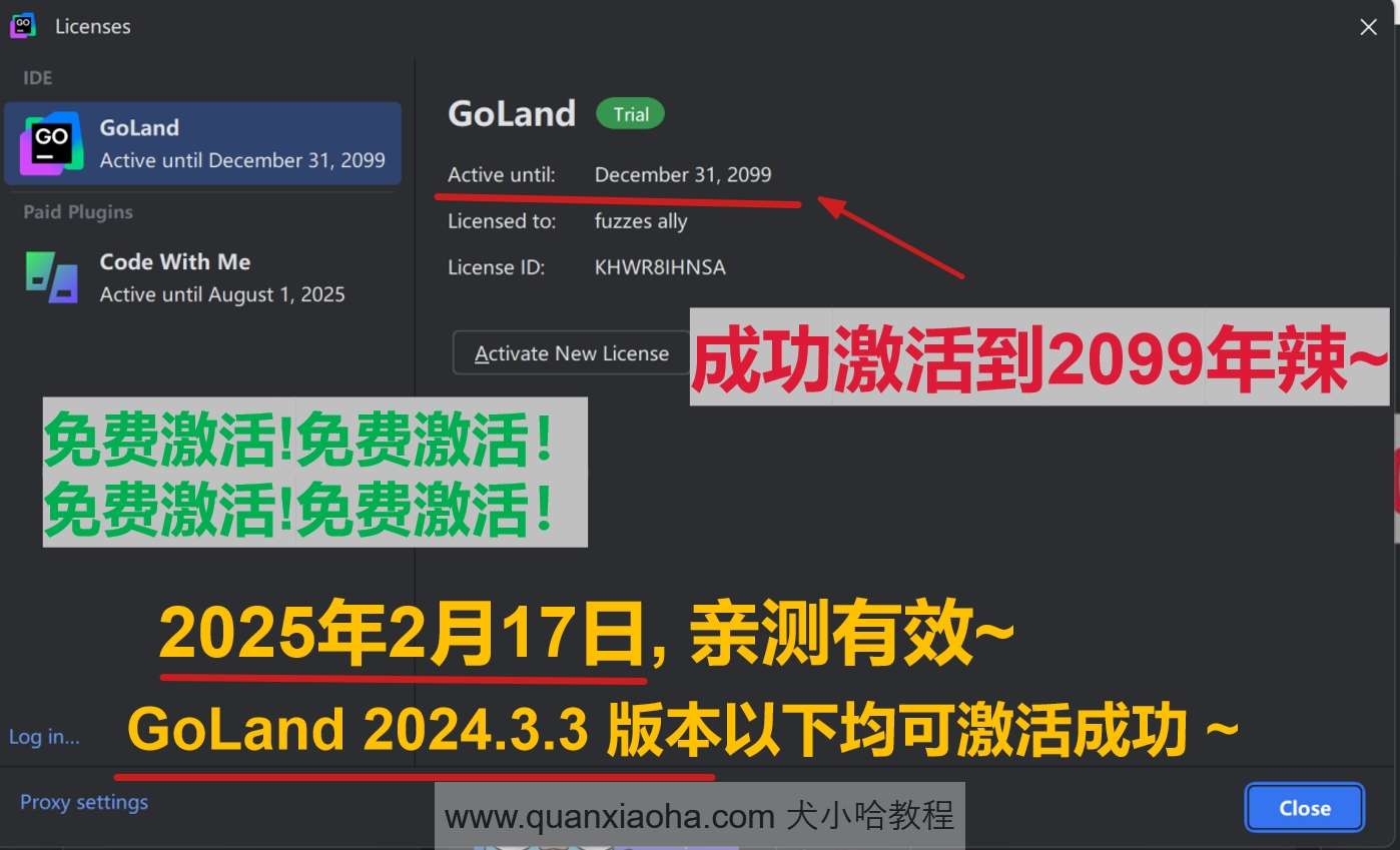 GoLand 2024.3.3 最新破解版安装教程（附激活码，至2099年~）