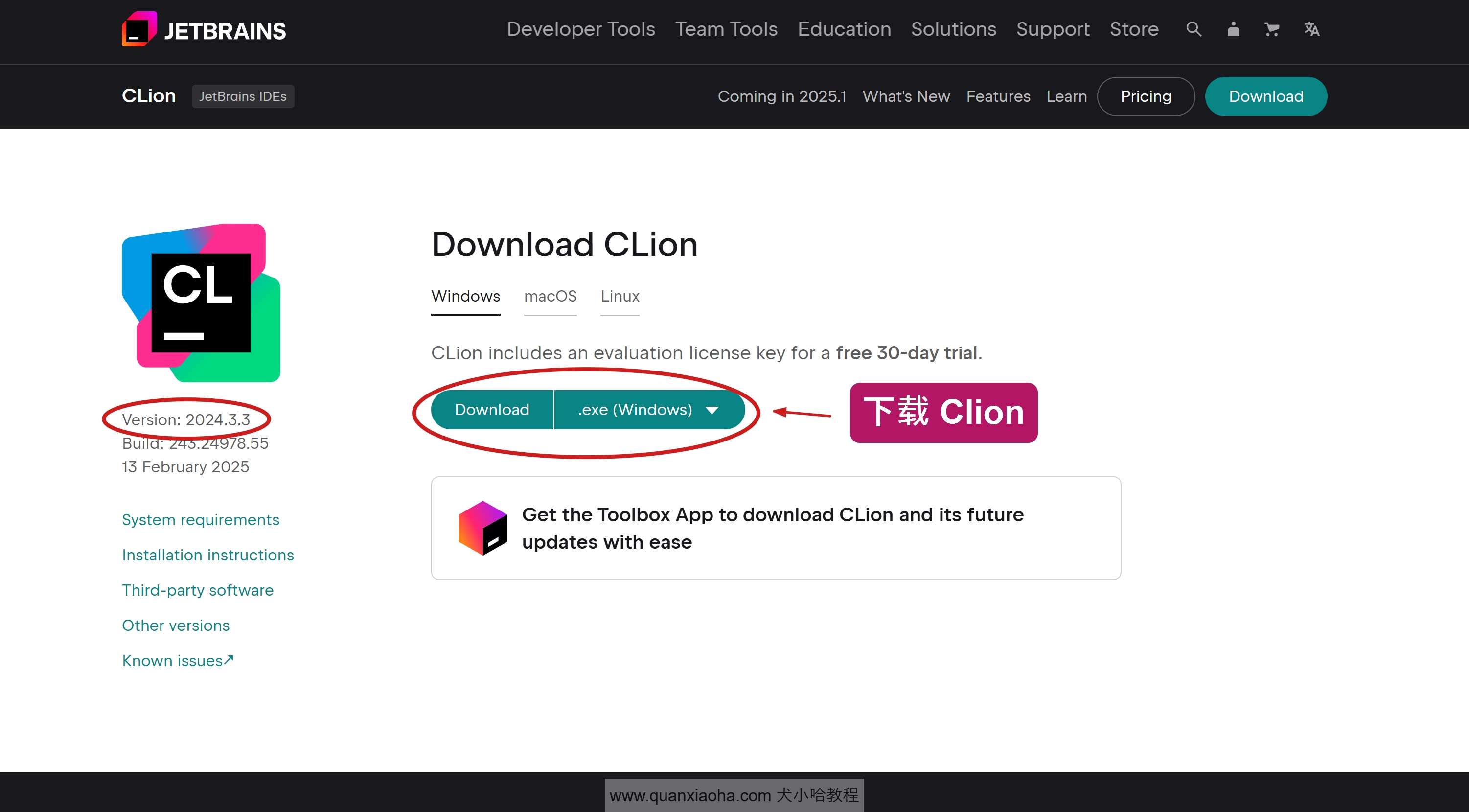 下载 Clion 2024.3.3 版本安装包