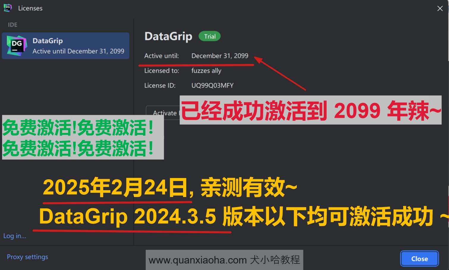 DataGrip 2024.3.5 版本激活到 2099 年截图