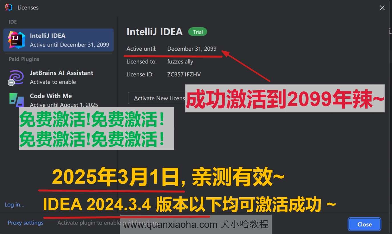 IDEA 2024.3.4 版本激活到 2099 年截图