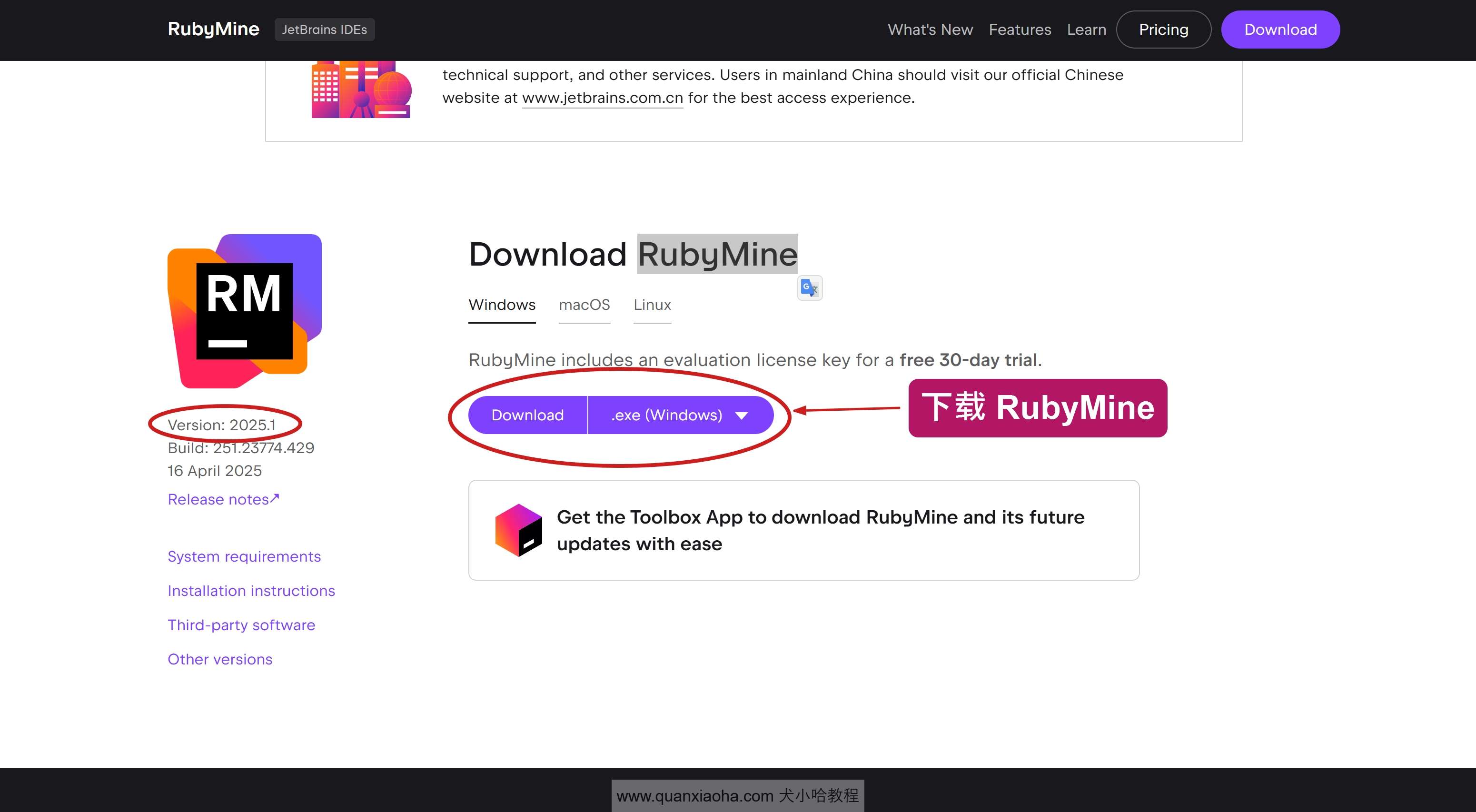 下载 RubyMine 2025.1 版本安装包