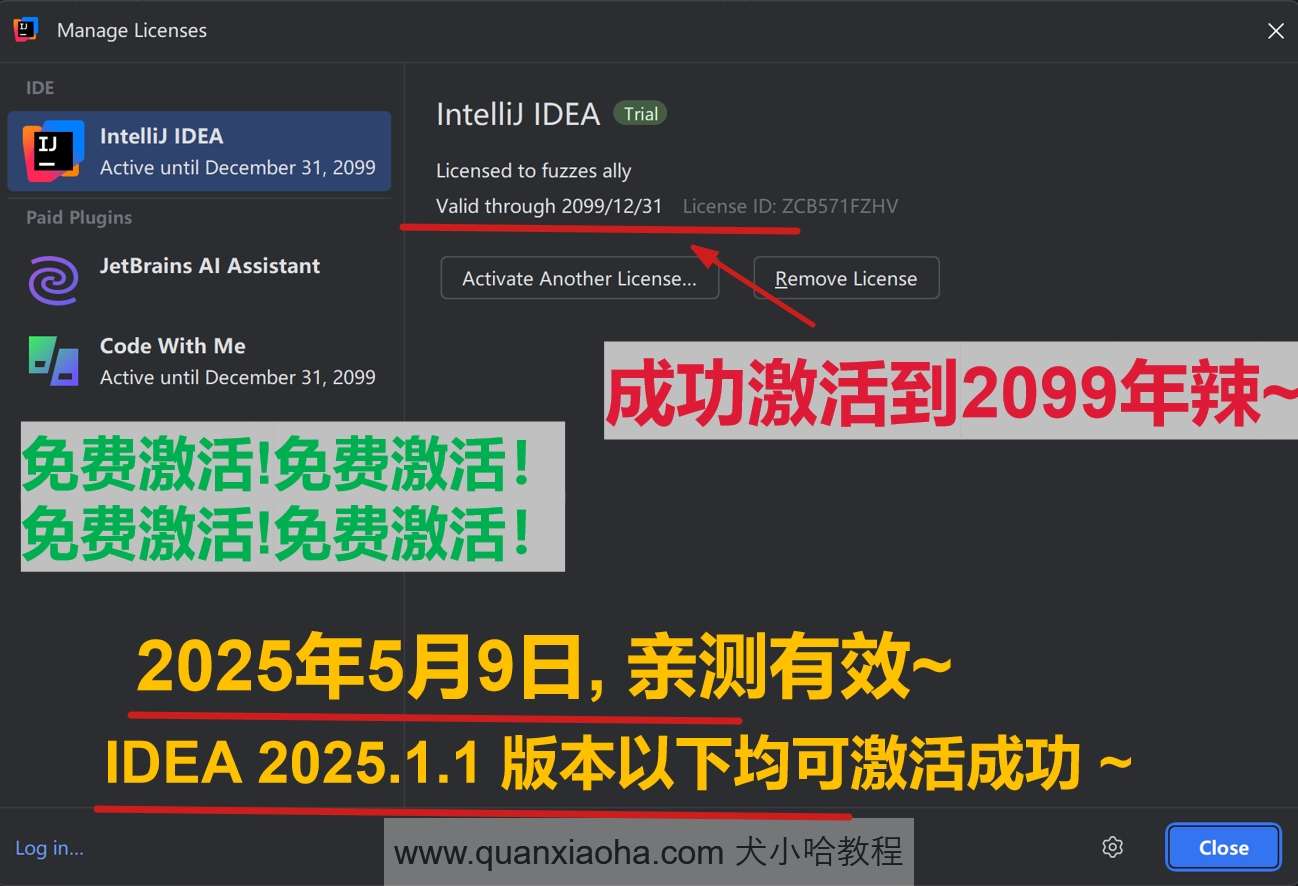 IDEA 2025.1.1 版本成功激活到 2099 年截图