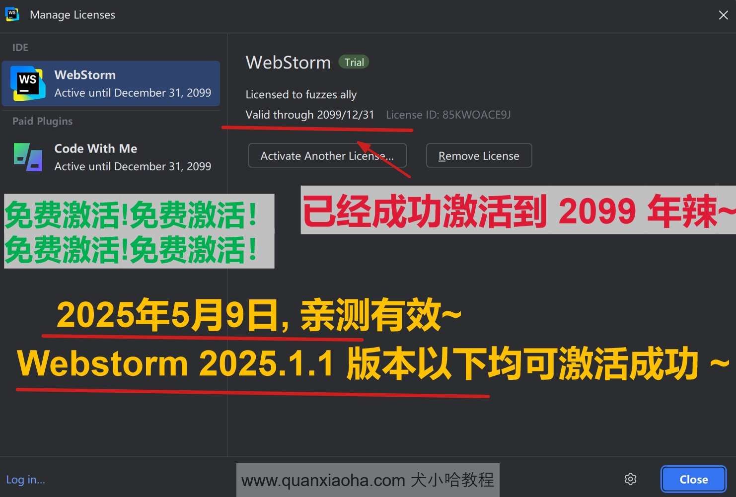 Webstorm 2025.1.1 版本成功激活到 2099 年截图