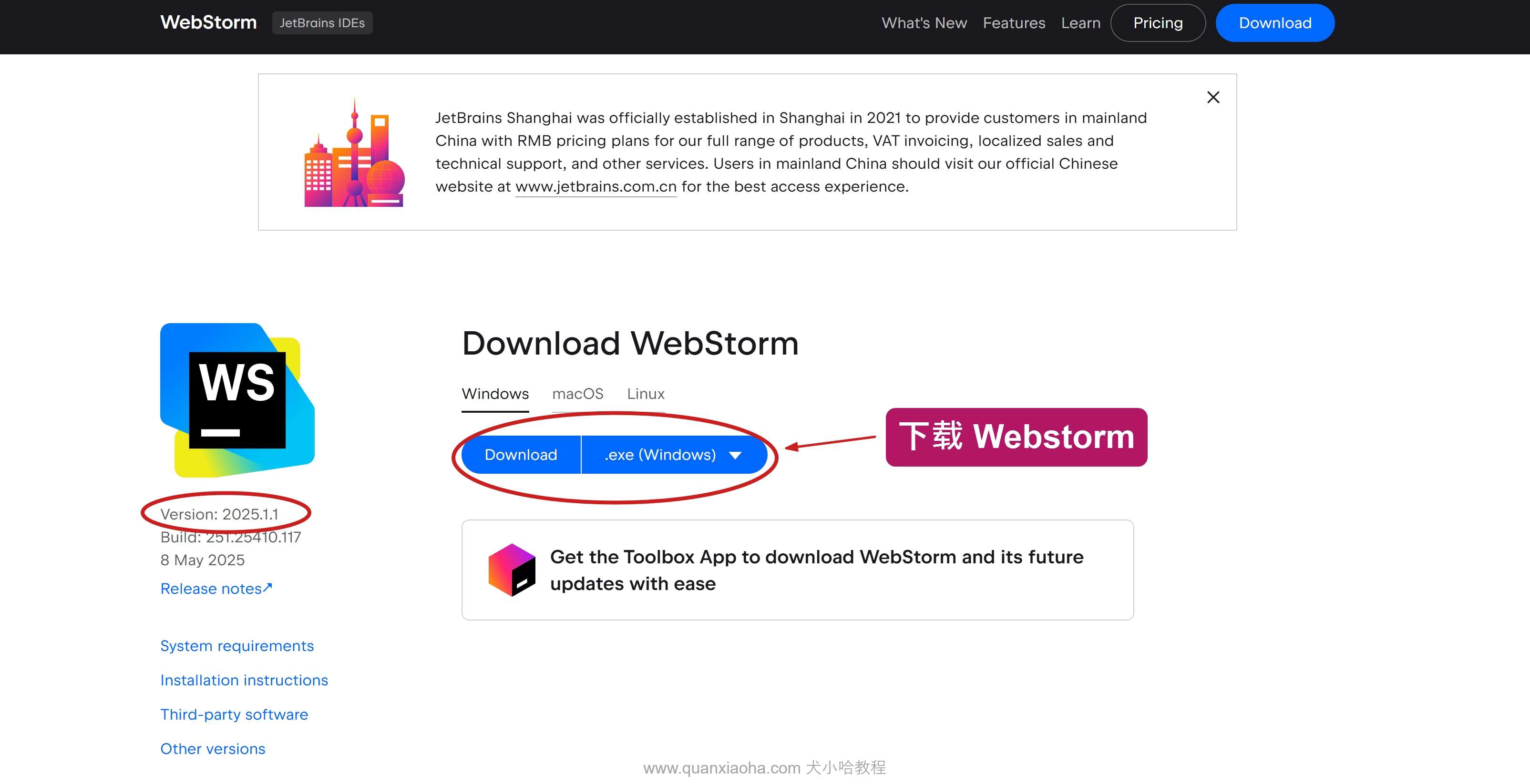 下载 Webstorm 2025.1.1 版本安装包