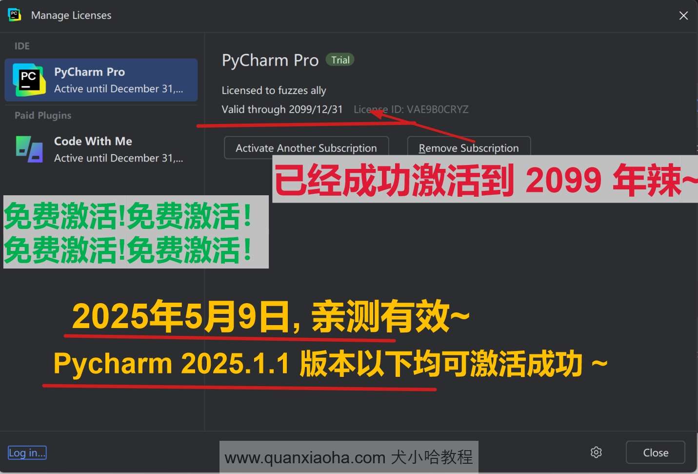 Pycharm 2025.1.1 版本成功激活到 2099 年截图