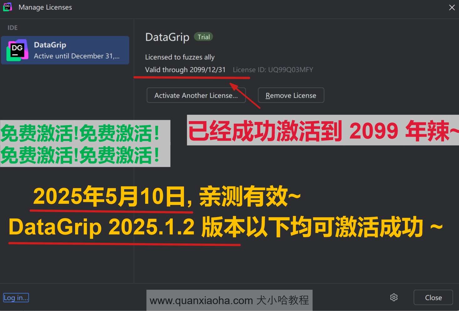 DataGrip 2025.1.2 版本成功激活到 2099 年截图