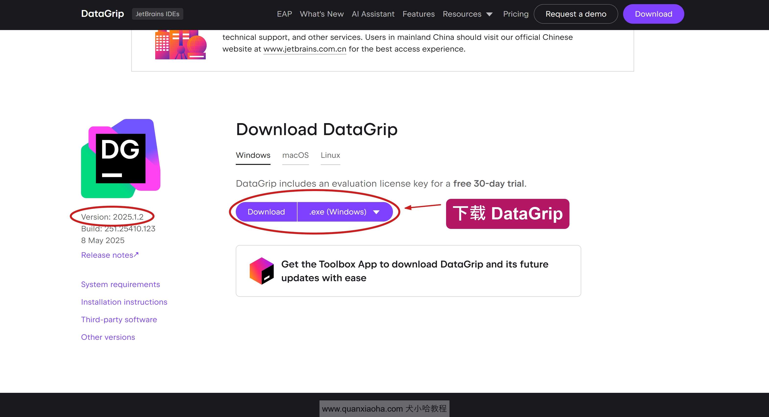 下载 DataGrip 2025.1.2 版本安装包