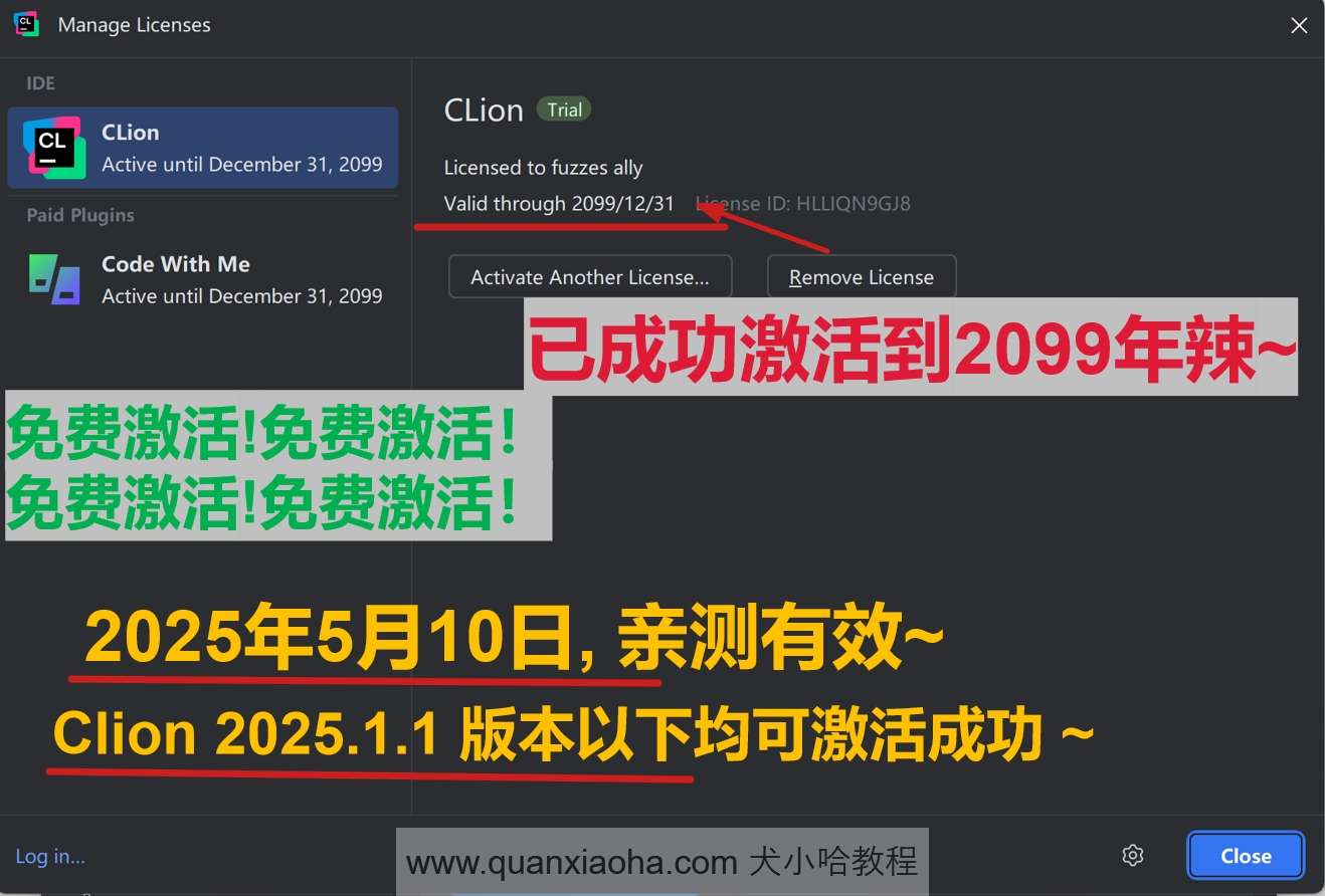 Clion 2025.1.1 版本成功截图
