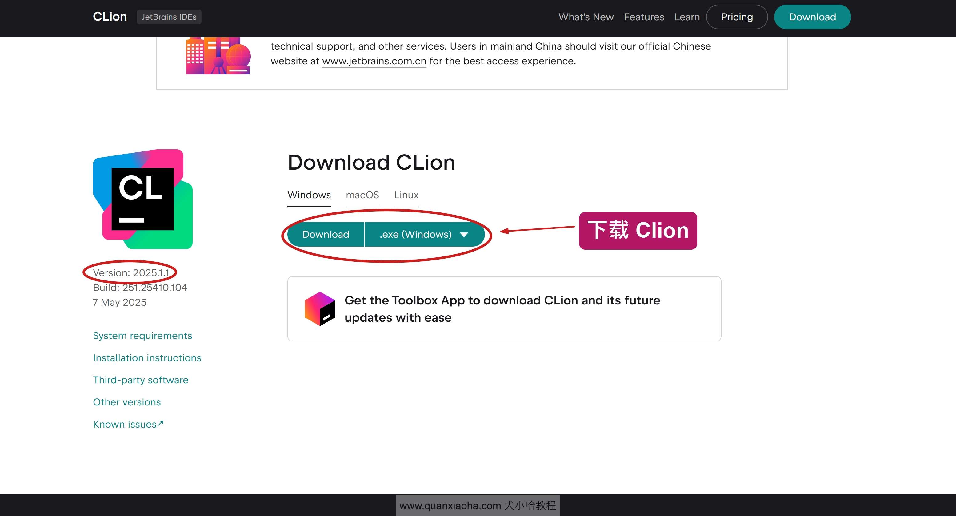 下载 Clion 2025.1.1 版本安装包