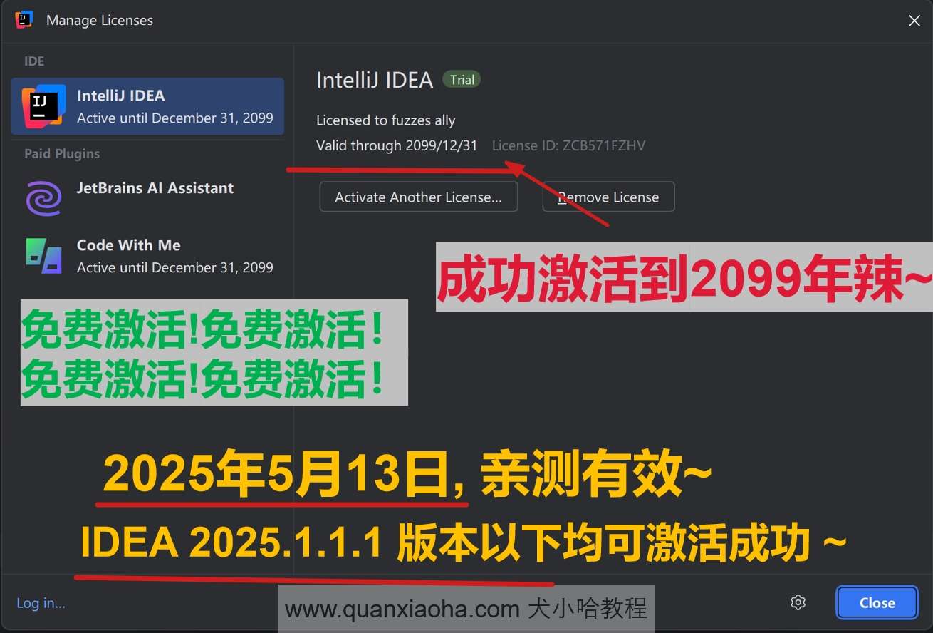 IDEA 2025.1.1.1 版本成功激活到 2099 年截图