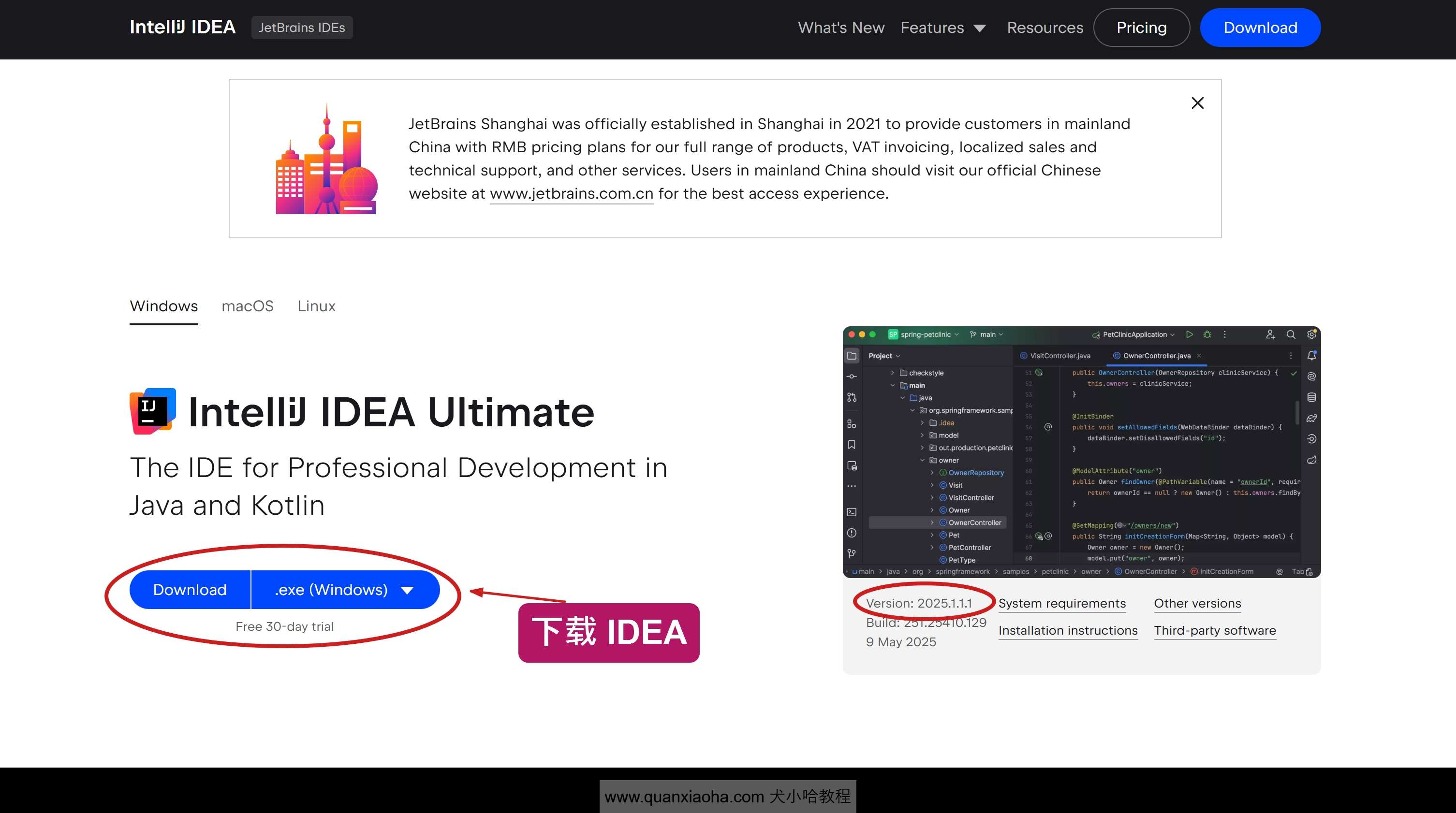 下载 IDEA 2025.1.1.1 版本安装包