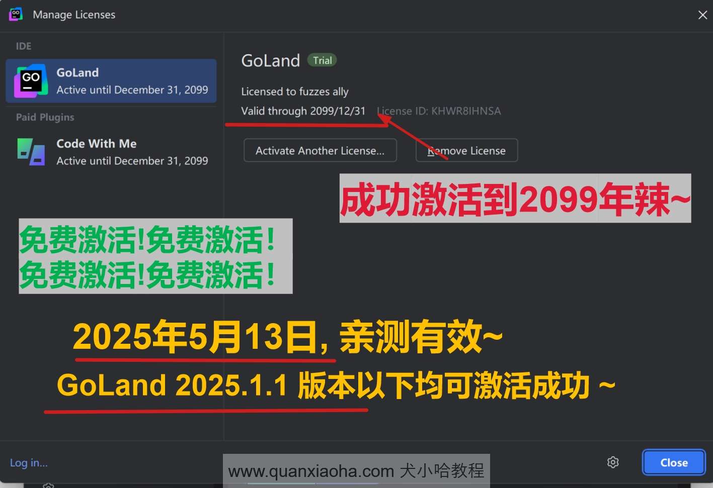 GoLand 2025.1.1 版本成功截图