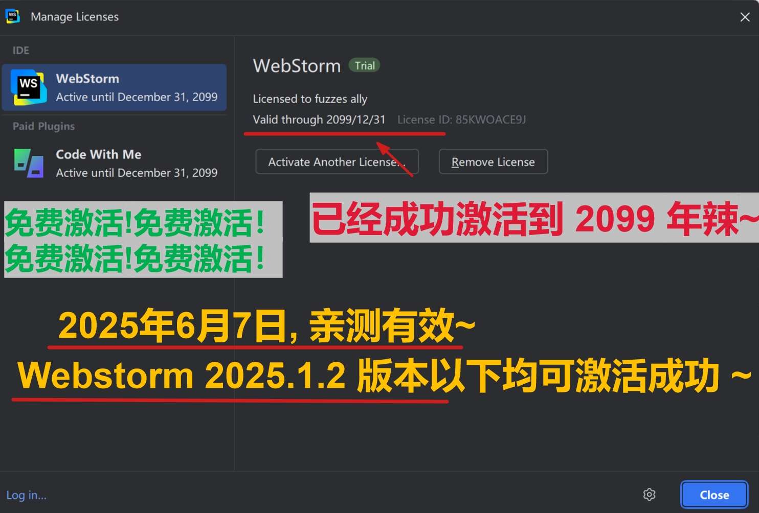 Webstorm 2025.1.2 版本成功激活到 2099 年截图
