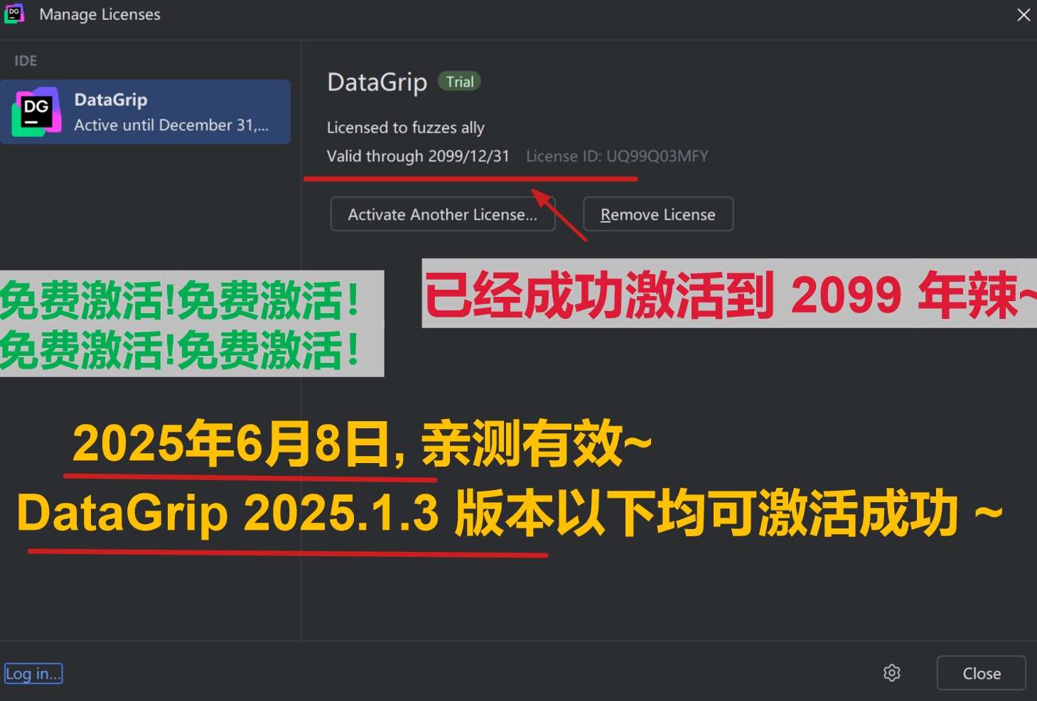 DataGrip 2025.1.3 版本成功激活到 2099 年截图