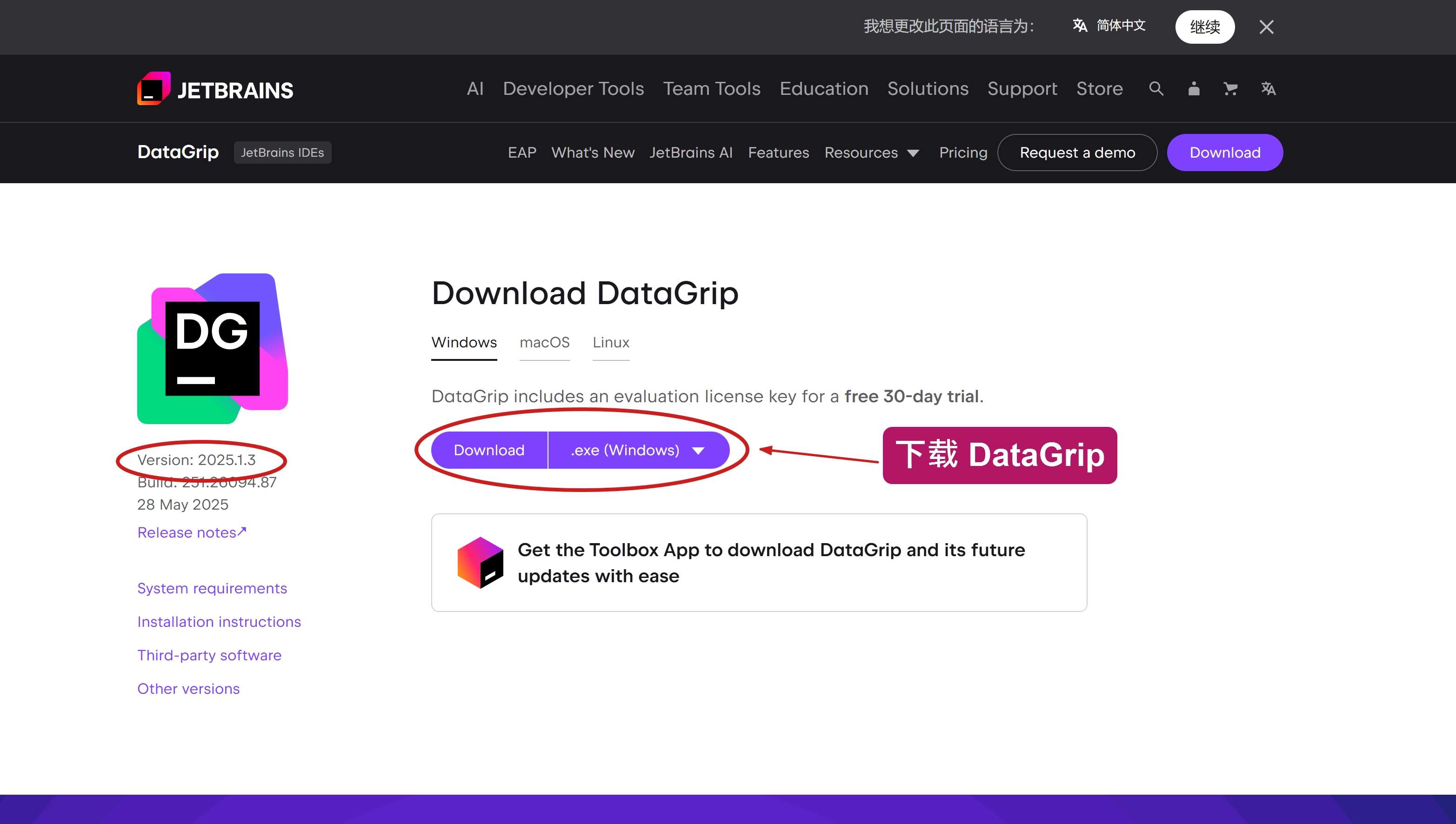 下载 DataGrip 2025.1.3 版本安装包