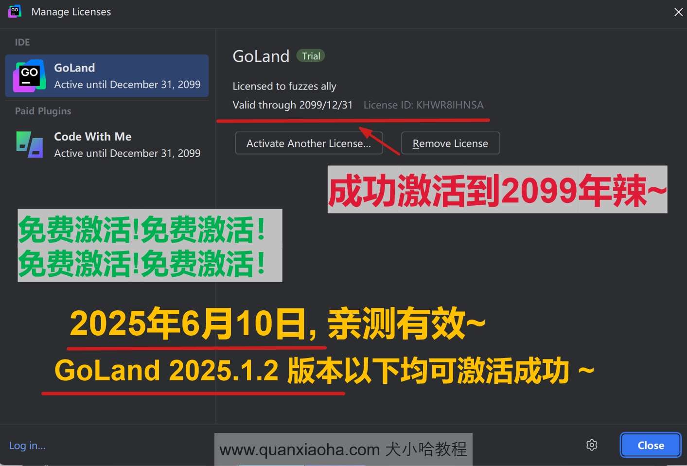 GoLand 2025.1.2 版本成功截图