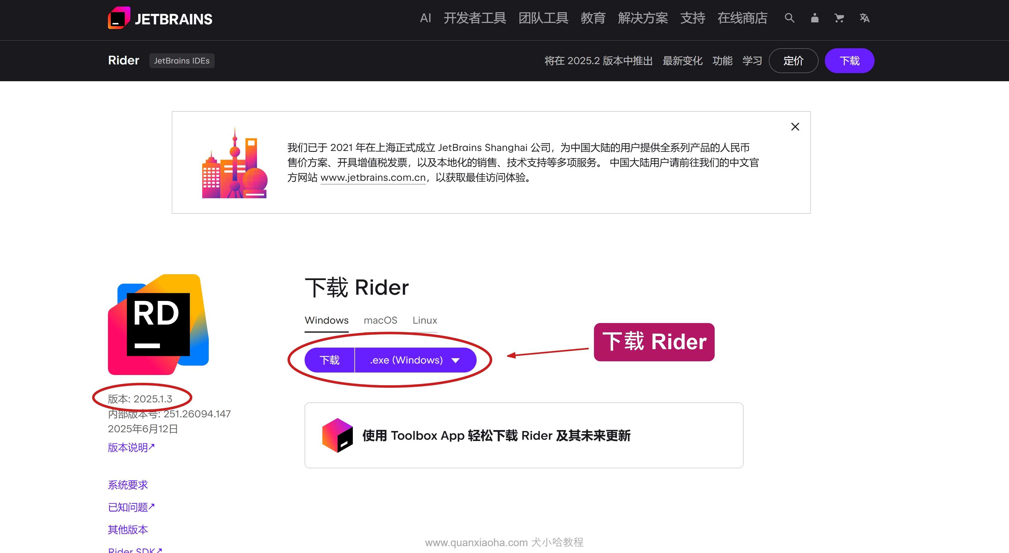 下载 Rider 2025.1.3 版本安装包