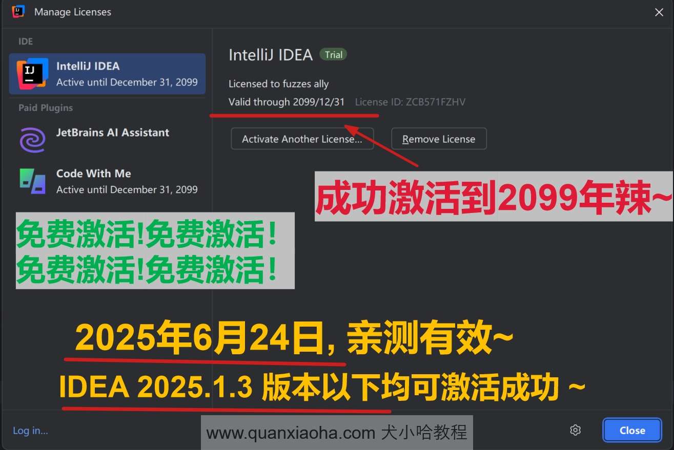 IDEA 2025.1.3 版本成功激活到 2099 年截图