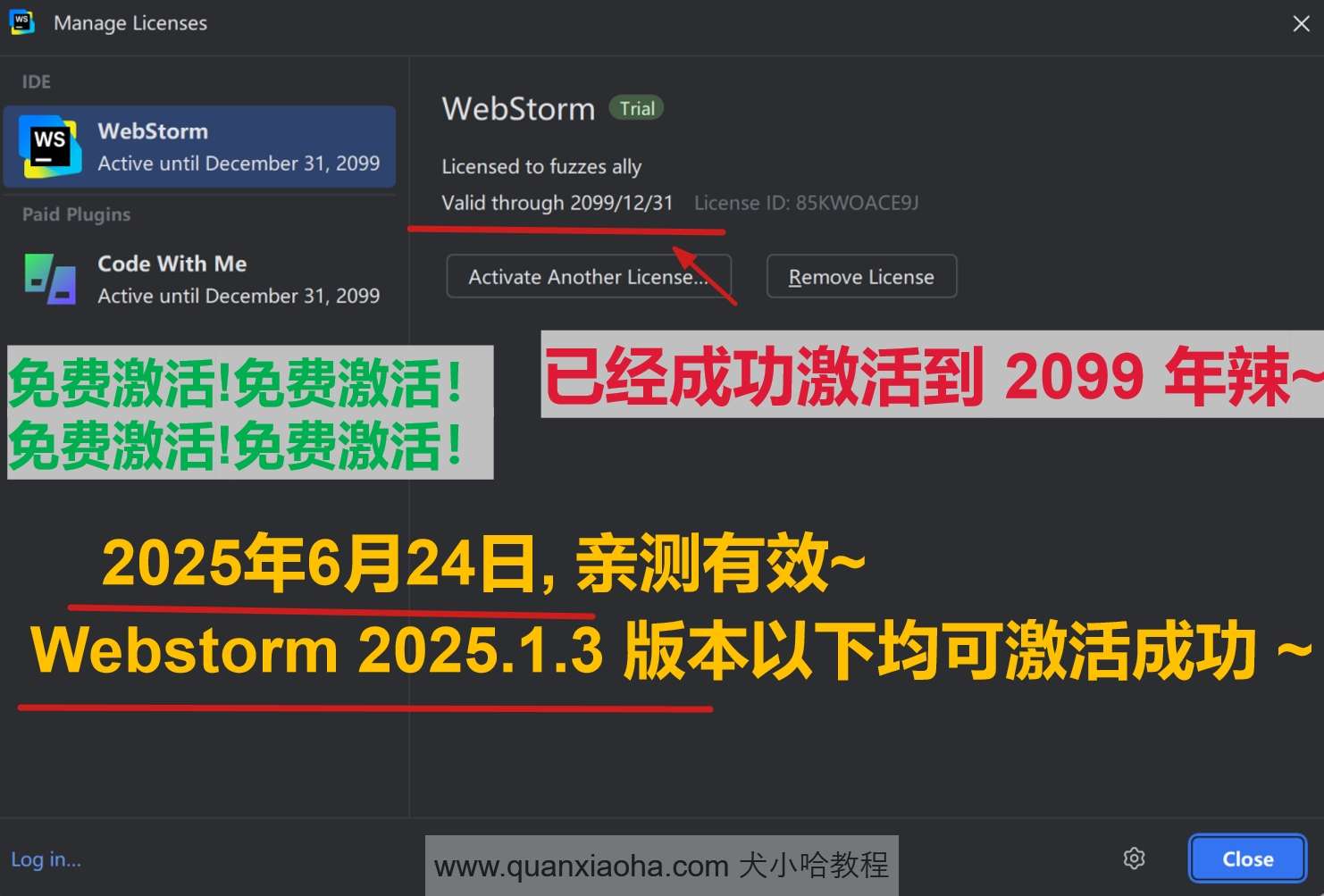 Webstorm 2025.1.3 版本成功激活到 2099 年截图