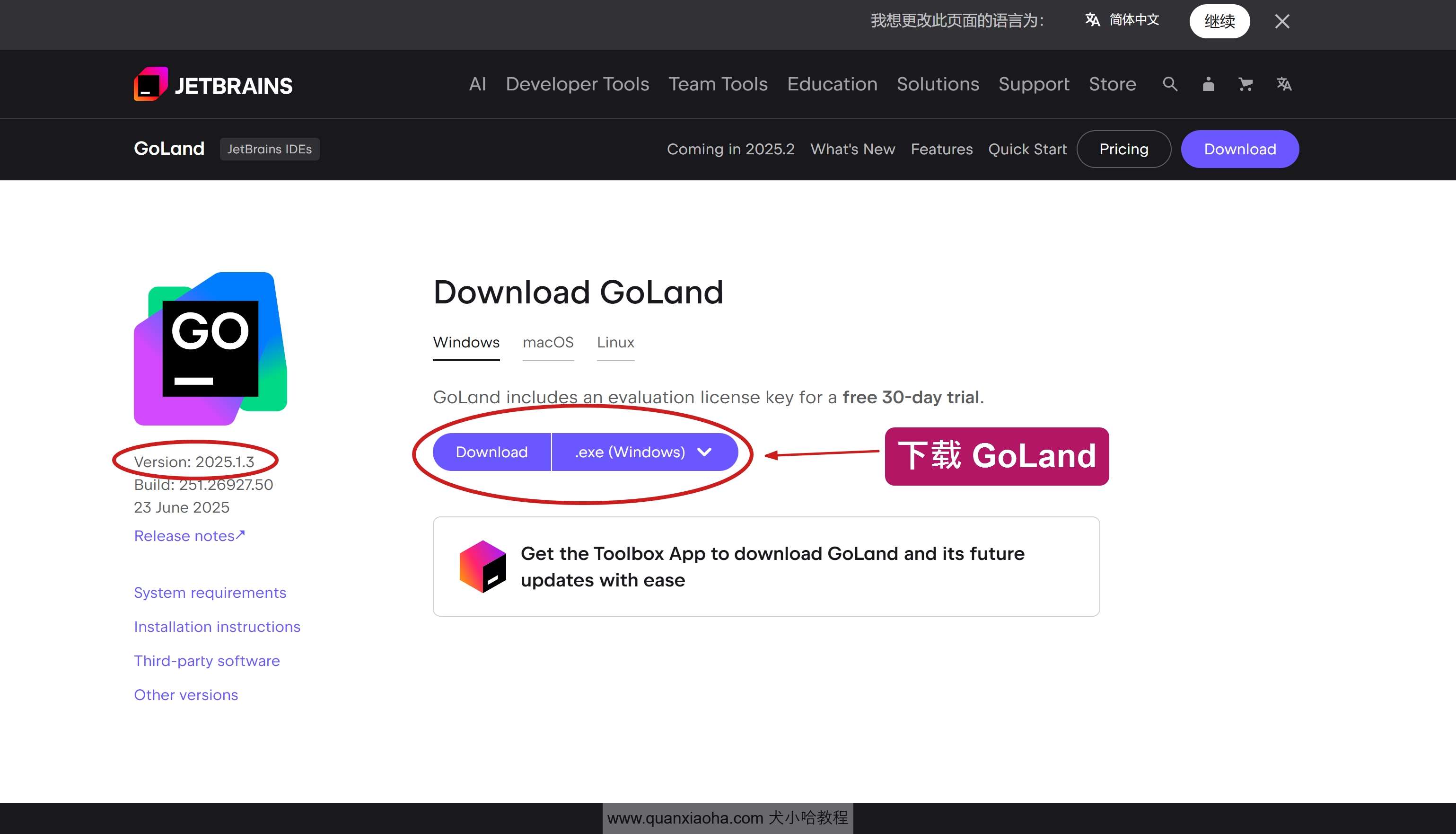 下载 GoLand 2025.1.3 版本安装包