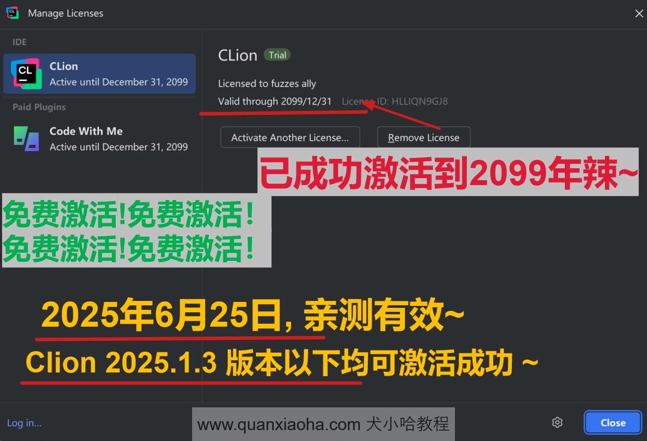Clion 2025.1.3 版本成功截图