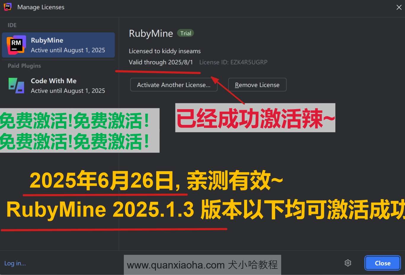 RubyMine 2025.1.3 版本成功截图