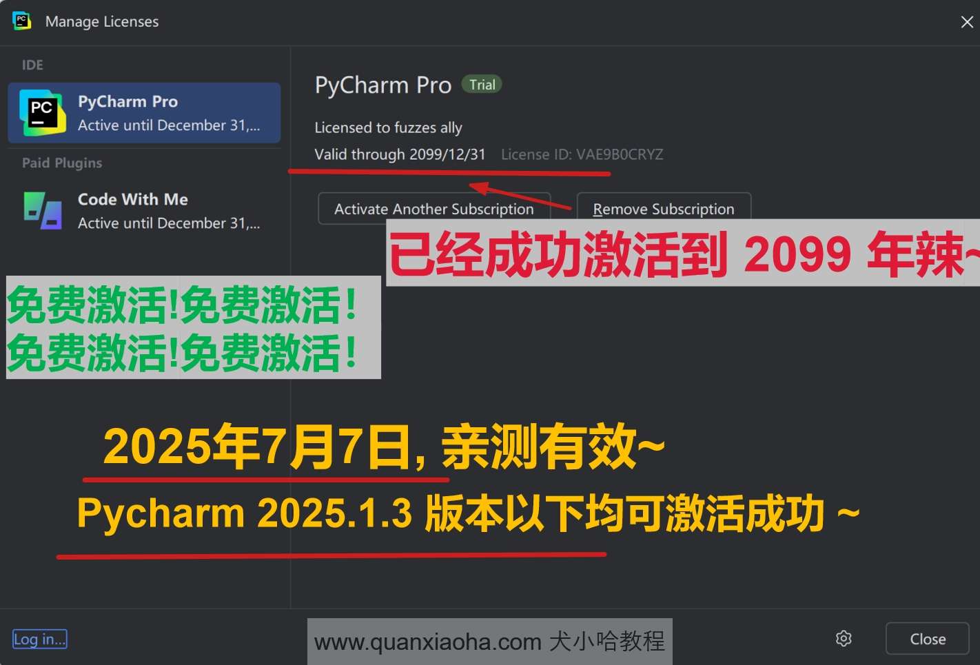 Pycharm 2025.1.3 版本成功激活到 2099 年截图