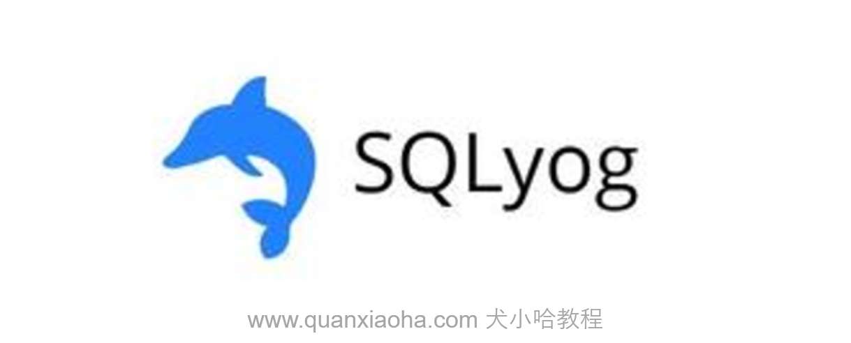 SQLyog Ultimate 破解（持续更新~）