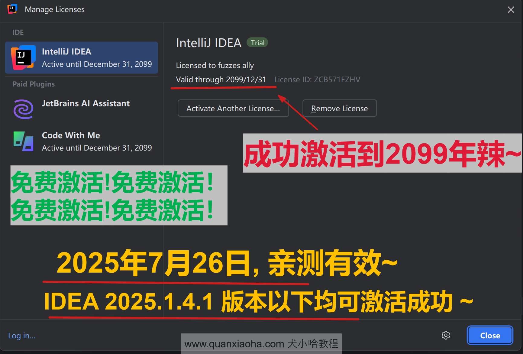 IDEA 2025.1.4.1 版本成功激活到 2099 年截图
