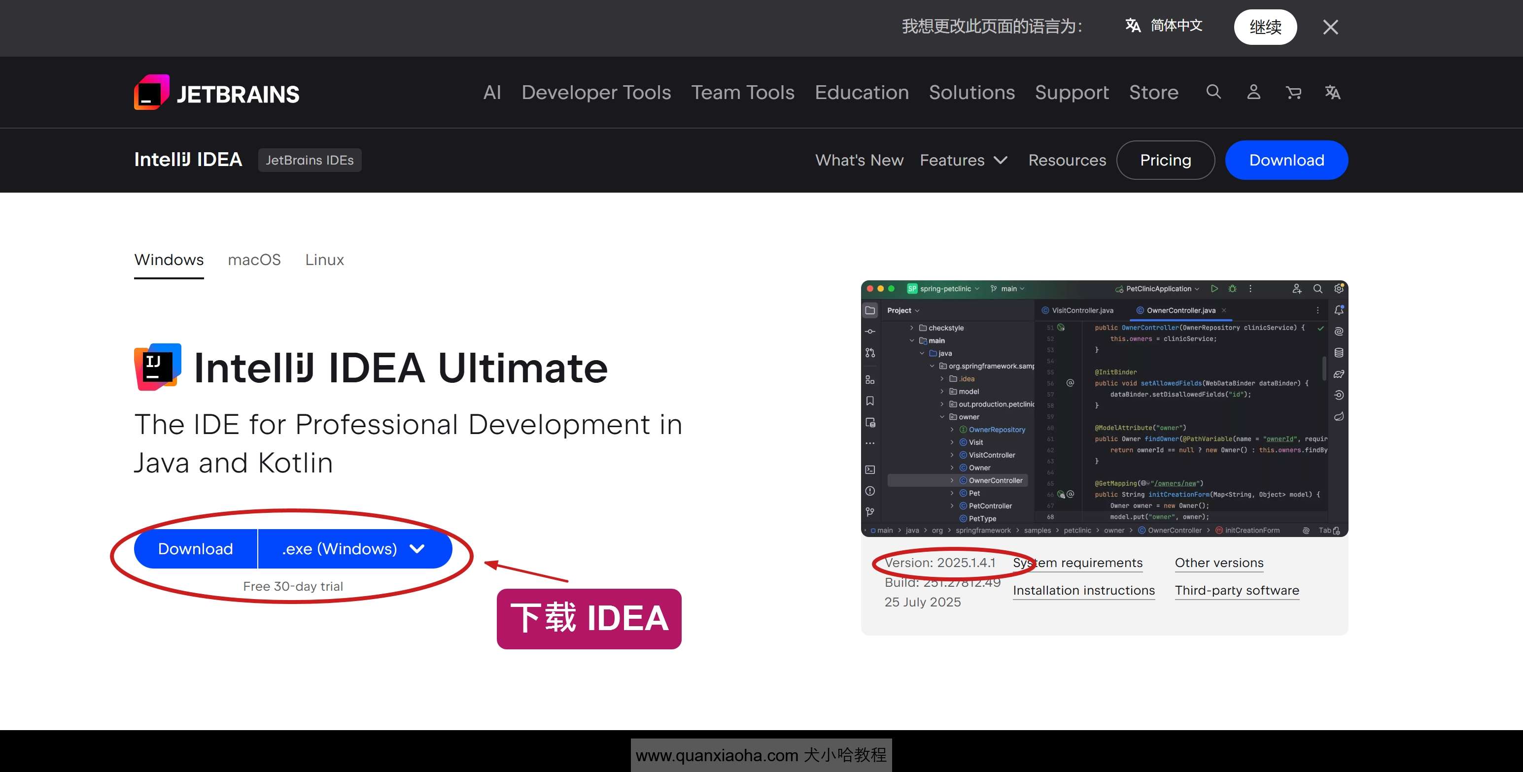 下载 IDEA 2025.1.4.1 版本安装包