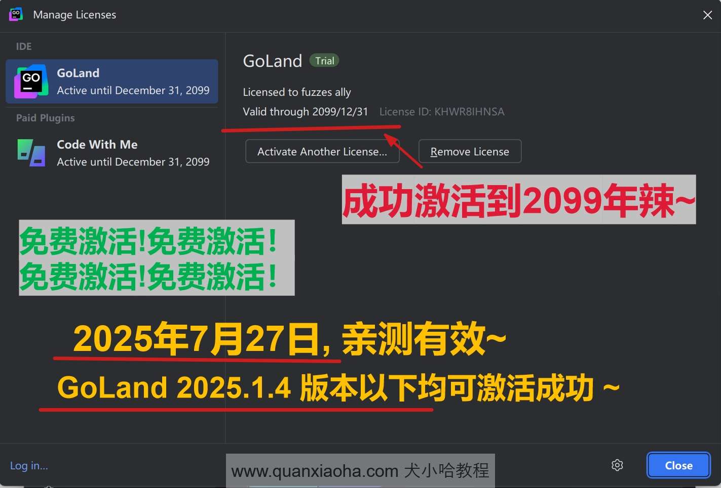 GoLand 2025.1.4 版本成功截图