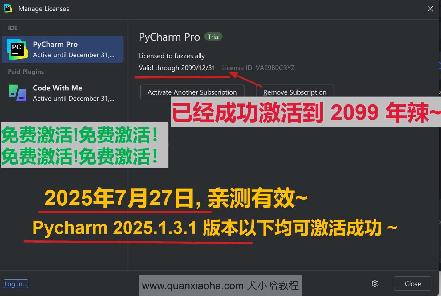 Pycharm 2025.1.3.1 版本成功激活到 2099 年截图