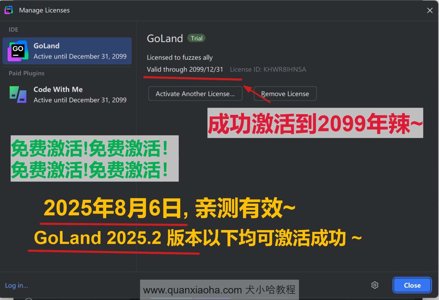 GoLand 2025.2 版本成功截图