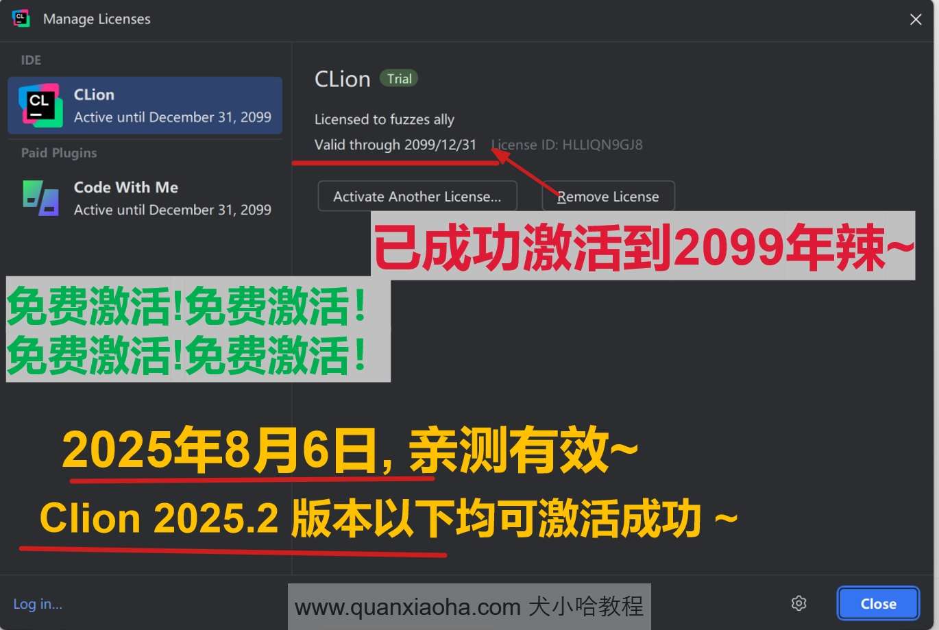 Clion 2025.2 版本成功截图