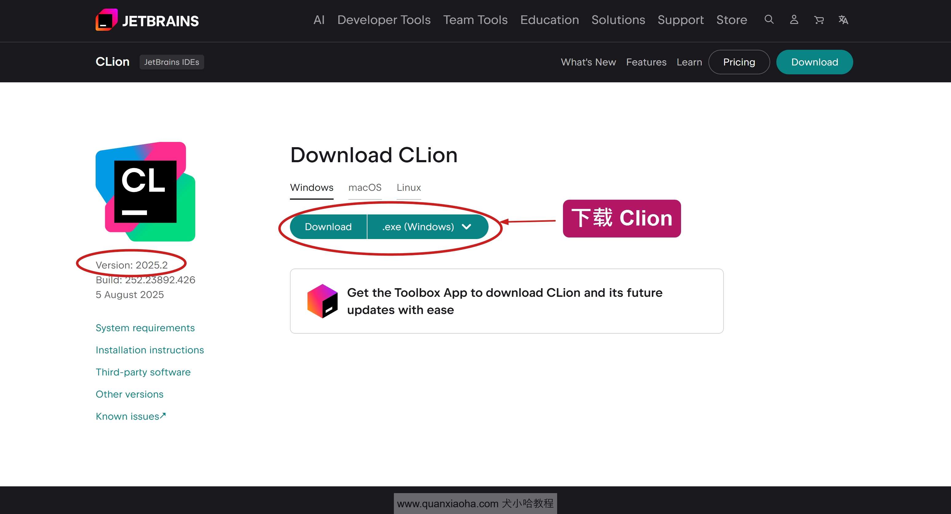 下载 Clion 2025.2 版本安装包