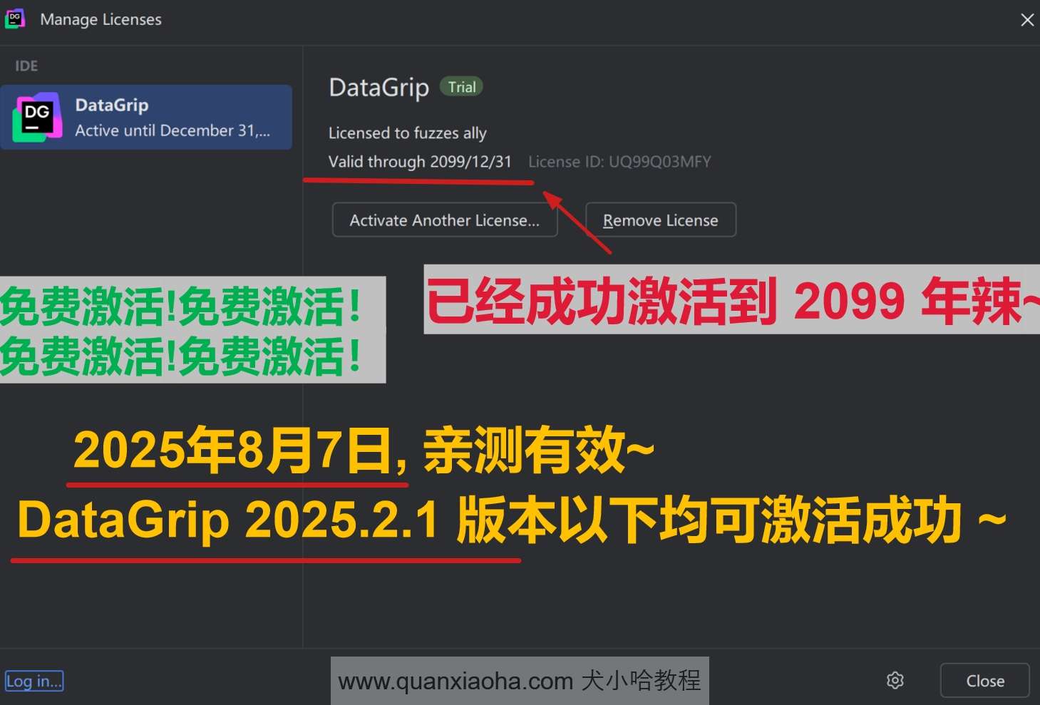 DataGrip 2025.2.1 版本成功激活到 2099 年截图