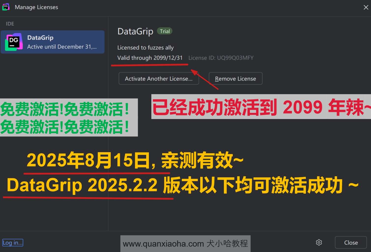 DataGrip 2025.2.2 版本成功激活到 2099 年截图