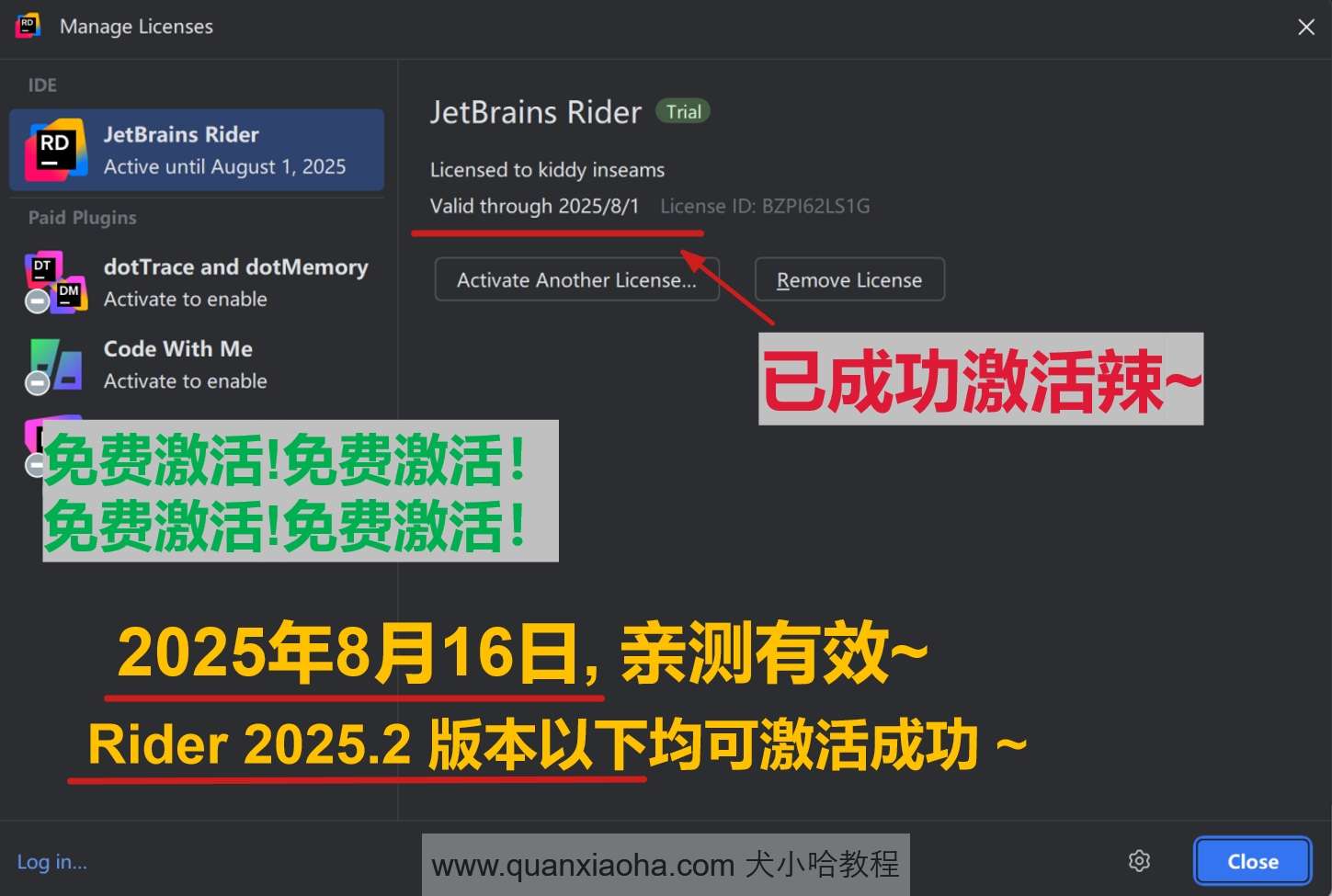 Rider 2025.2 版本成功截图