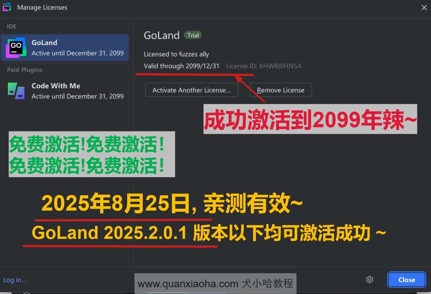 GoLand 2025.2.0.1 版本成功截图