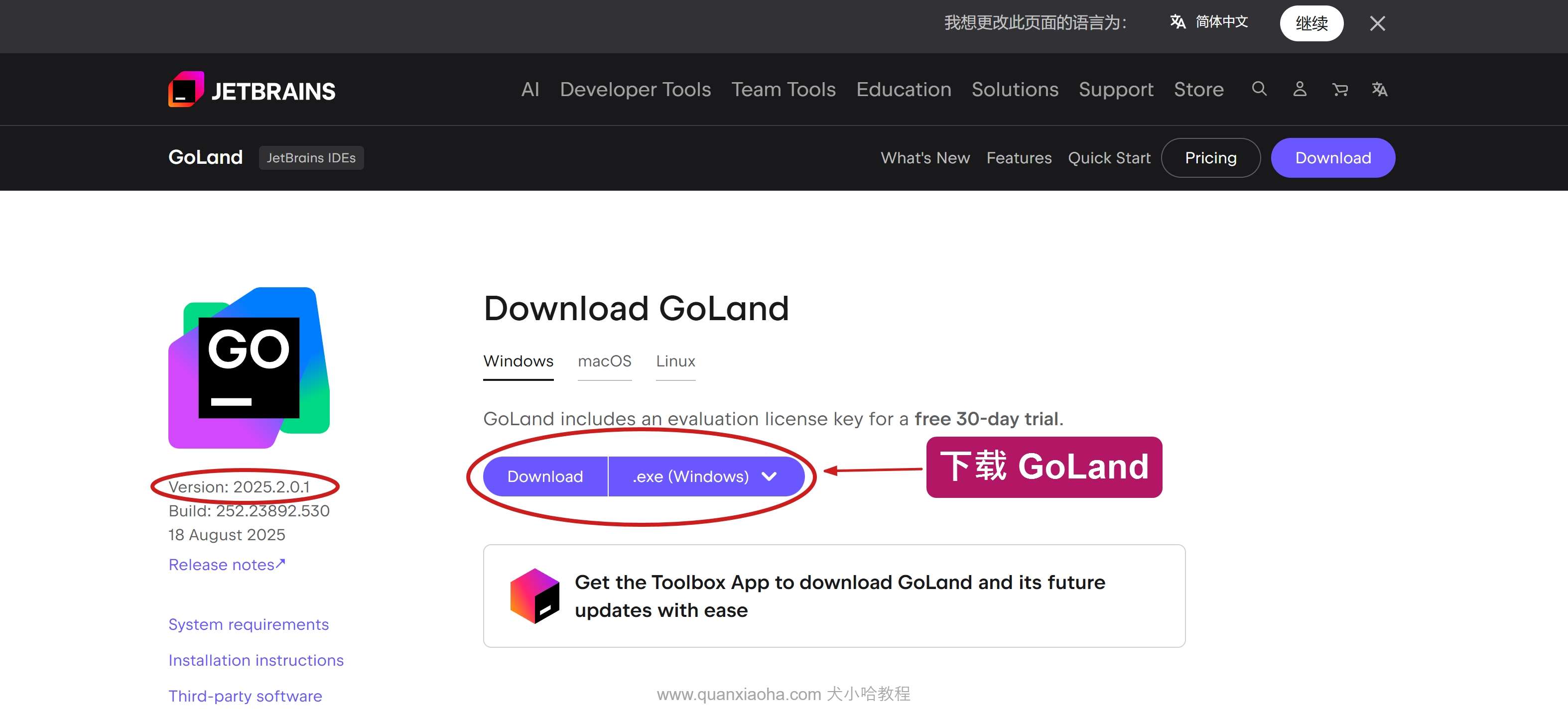 下载 GoLand 2025.2.0.1 版本安装包