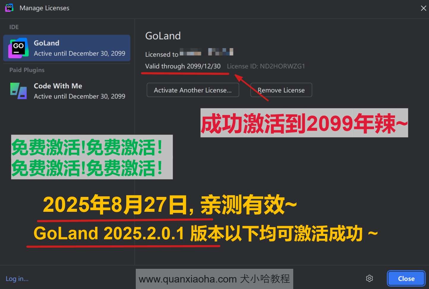 GoLand 2025.2.0.1 版本成功截图