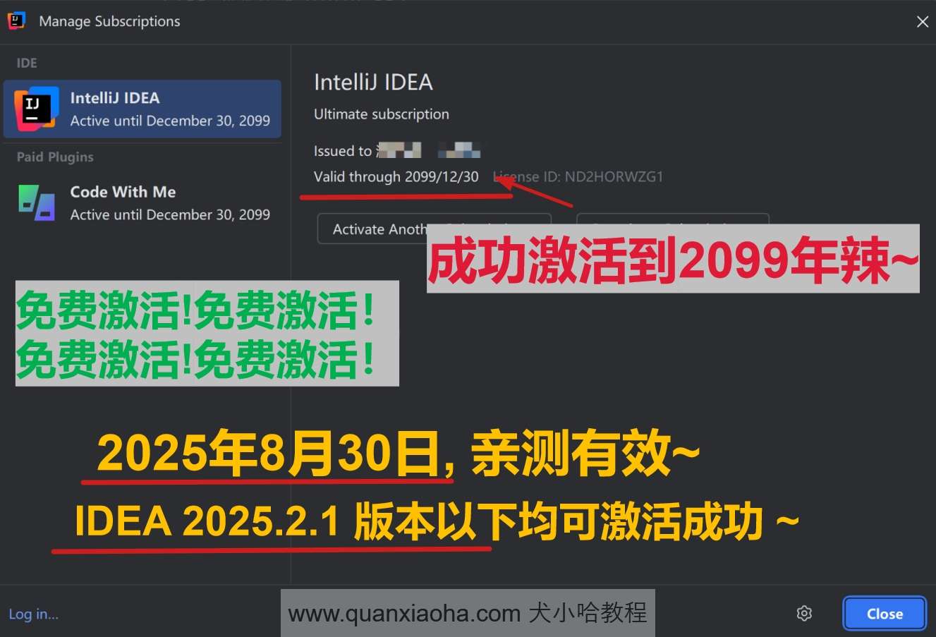 IDEA 2025.2.1 版本成功激活到 2099 年截图