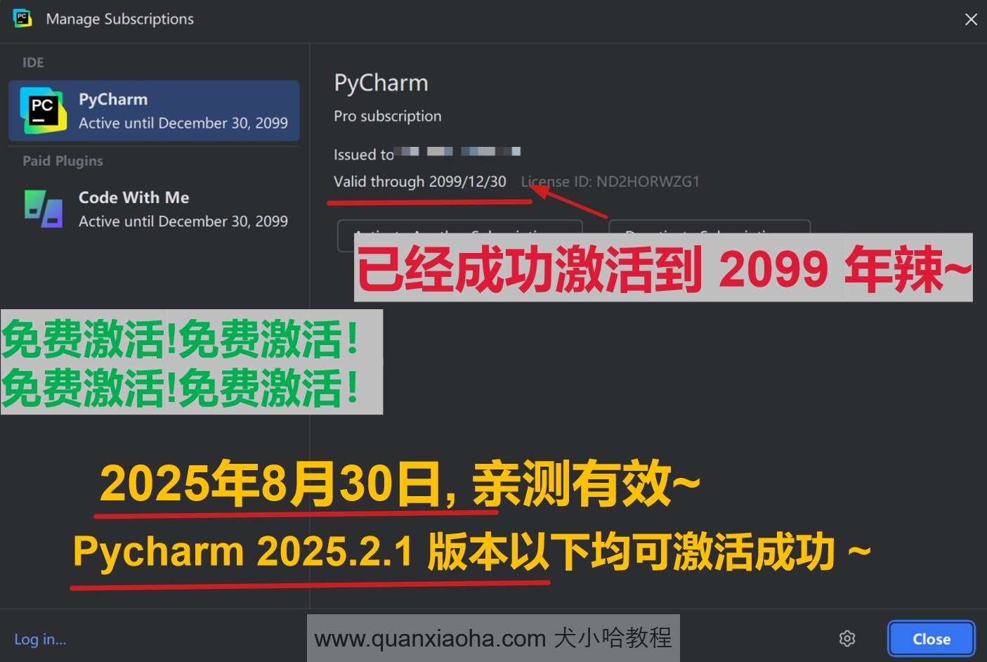 Pycharm 2025.2.1 版本成功激活到 2099 年截图