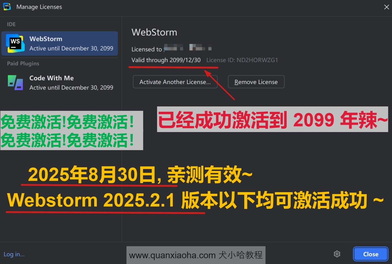 Webstorm 2025.2.1 版本成功激活到 2099 年截图