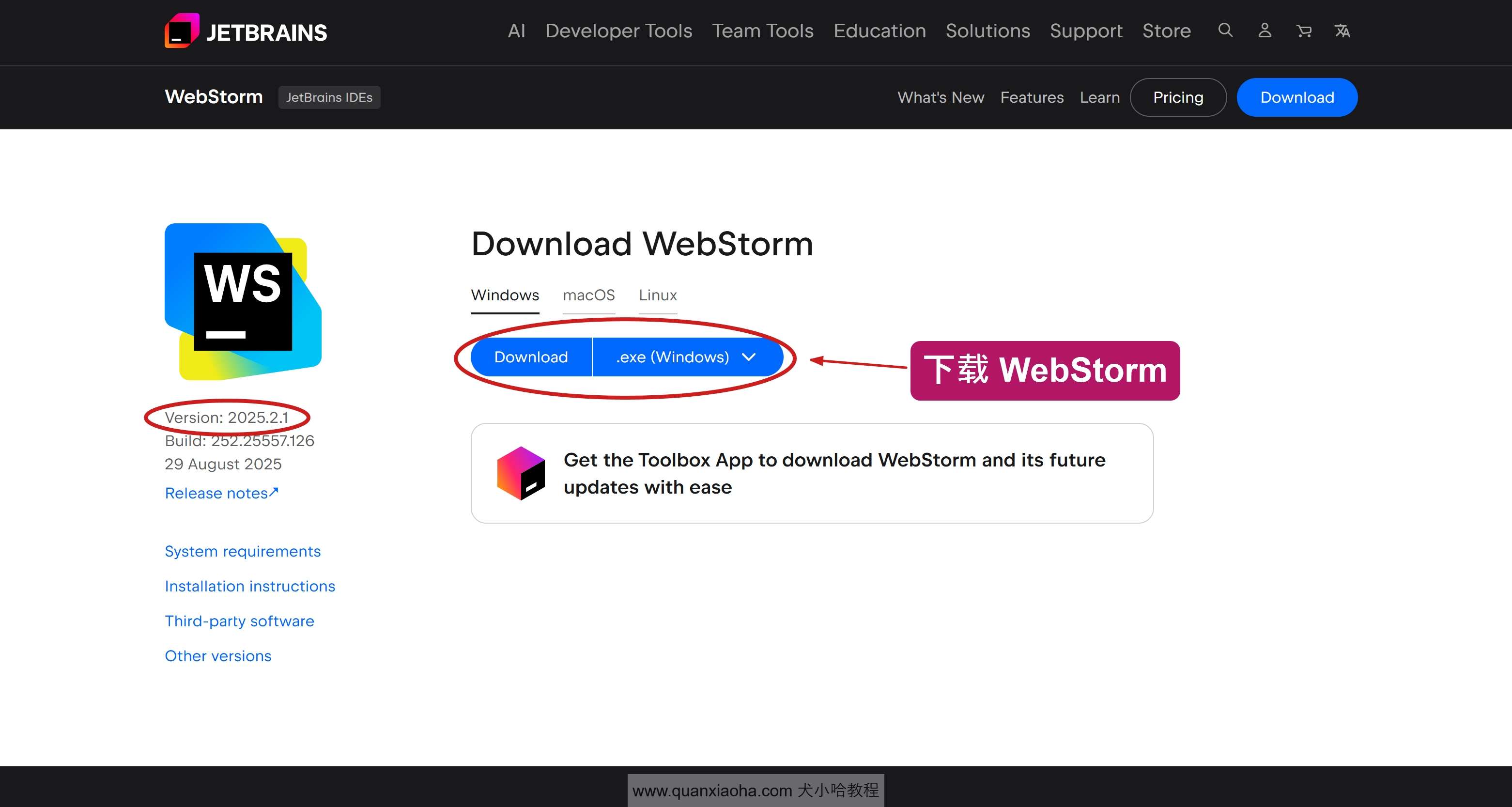 下载 Webstorm 2025.2.1 版本安装包