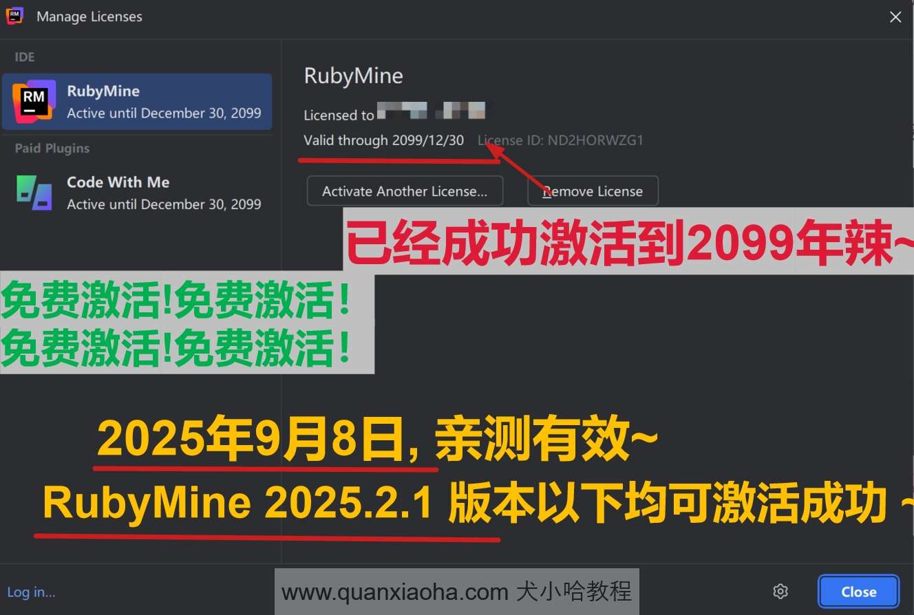 RubyMine 2025.2.1 版本成功截图