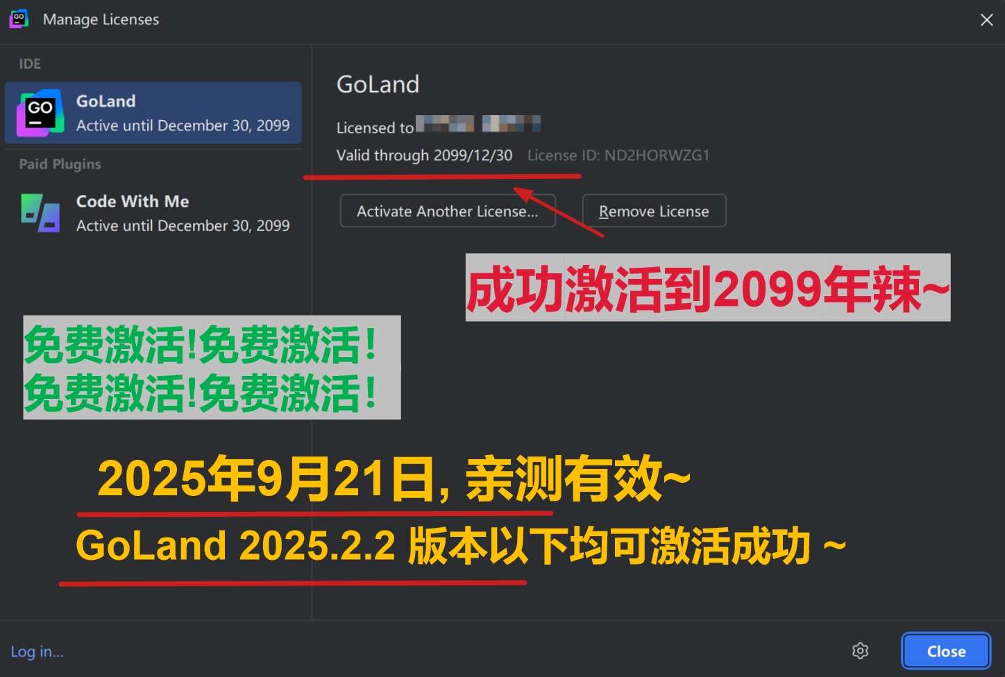 GoLand 2025.2.2 版本成功截图
